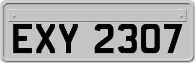 EXY2307