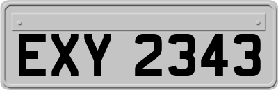 EXY2343