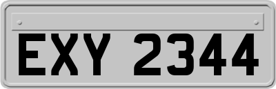EXY2344