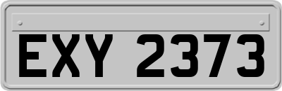 EXY2373
