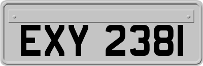 EXY2381