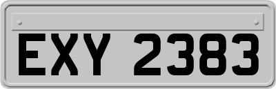 EXY2383