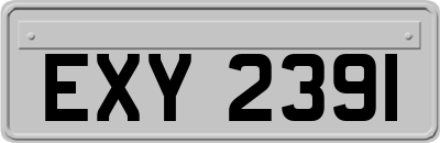 EXY2391