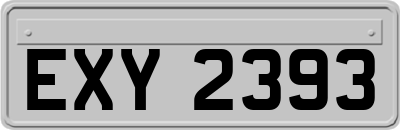 EXY2393