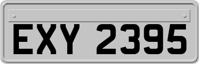 EXY2395