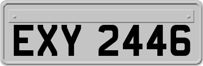 EXY2446