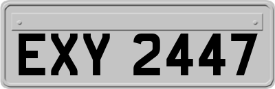 EXY2447