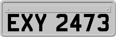 EXY2473