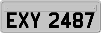 EXY2487