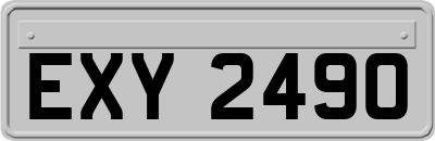 EXY2490