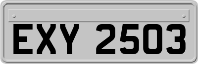 EXY2503