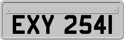 EXY2541