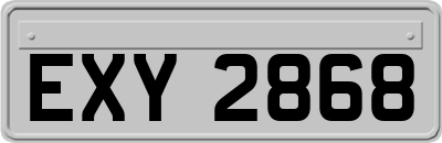 EXY2868