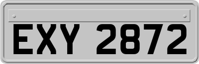 EXY2872