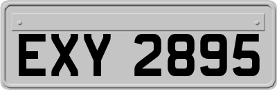 EXY2895