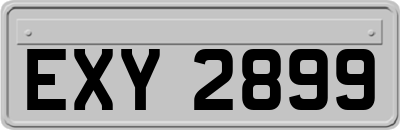 EXY2899