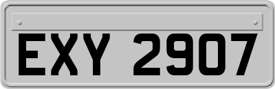 EXY2907
