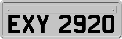 EXY2920