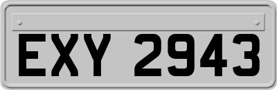 EXY2943