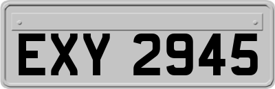 EXY2945