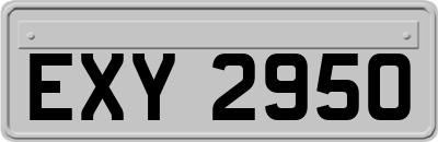 EXY2950