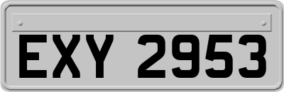 EXY2953