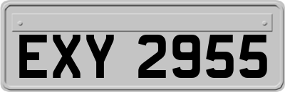 EXY2955