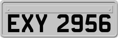 EXY2956