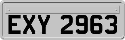EXY2963