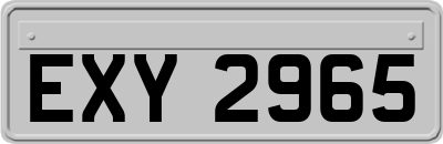 EXY2965