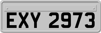 EXY2973