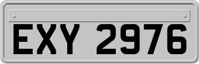 EXY2976