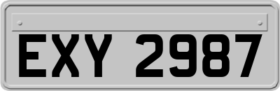 EXY2987