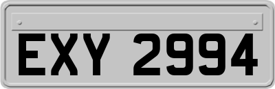 EXY2994