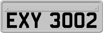 EXY3002