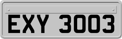 EXY3003