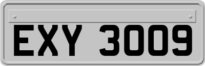 EXY3009