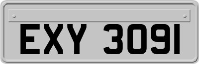 EXY3091