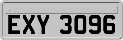 EXY3096