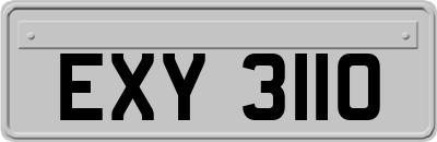 EXY3110