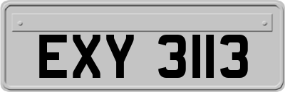 EXY3113