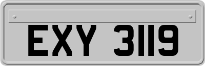 EXY3119
