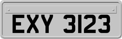 EXY3123