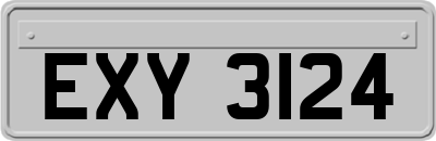 EXY3124