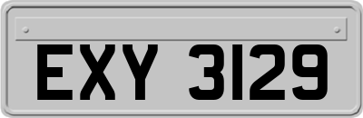 EXY3129