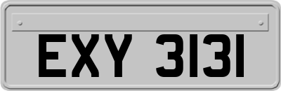 EXY3131