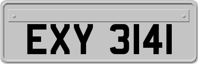 EXY3141