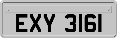 EXY3161