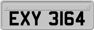 EXY3164