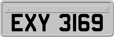 EXY3169
